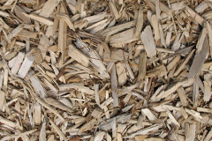 biomass boilers Worlaby